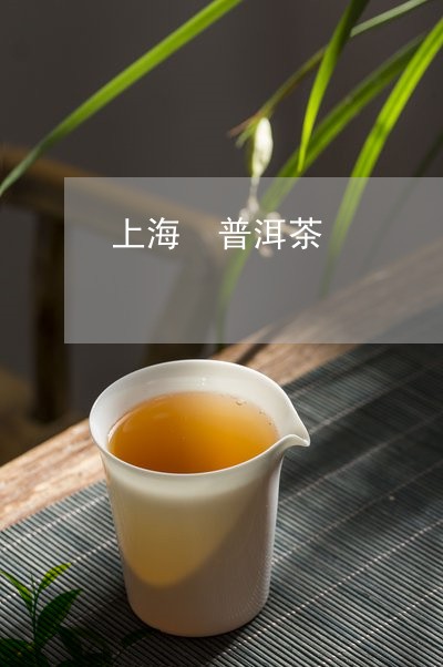 上海 普洱茶/2023042914917